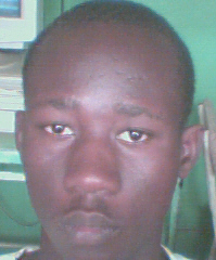 le lion d'afrique